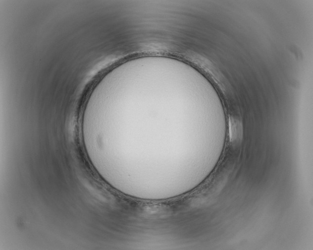 X0000112380579200909031954