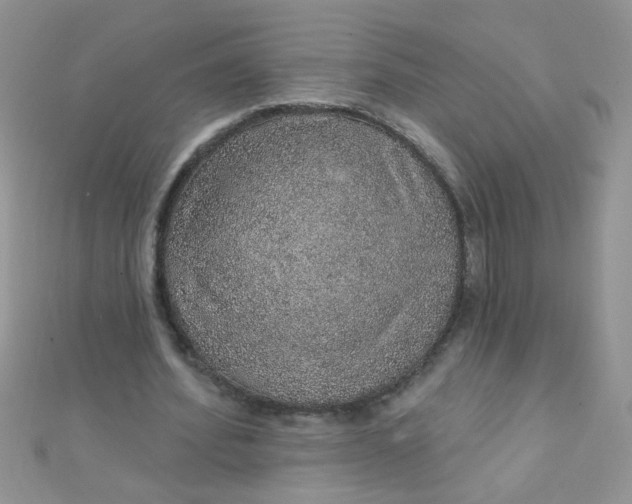 X0000112380580200909031954