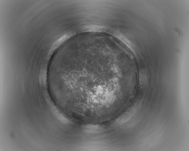 X0000112380581200909031954