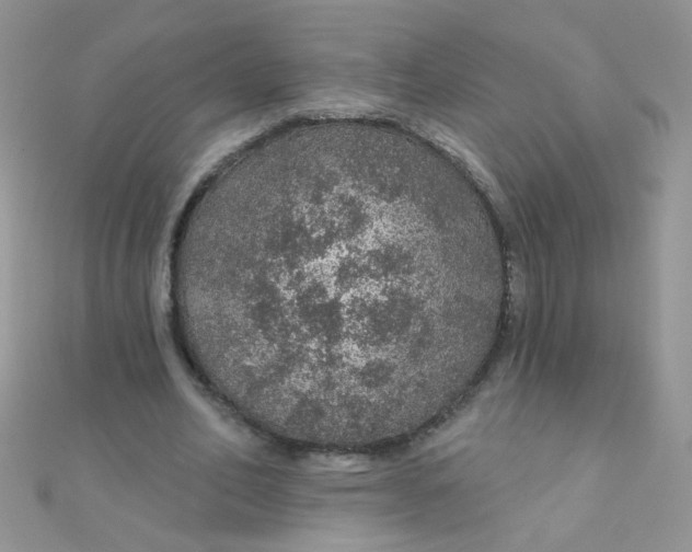 X0000112380582200909031954