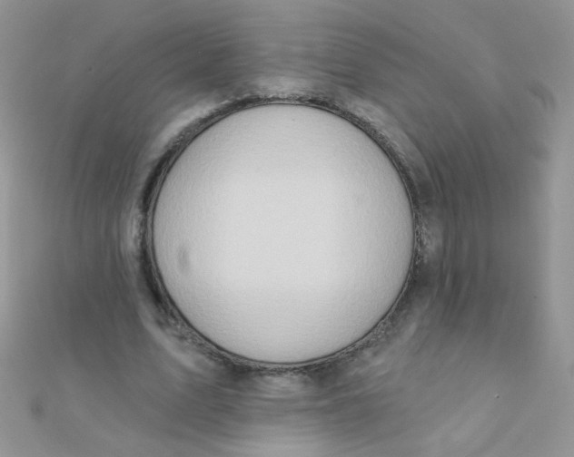 X0000112380583200909031954