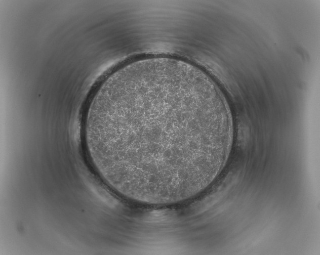 X0000112380584200909031954