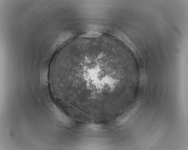 X0000112380585200909031954