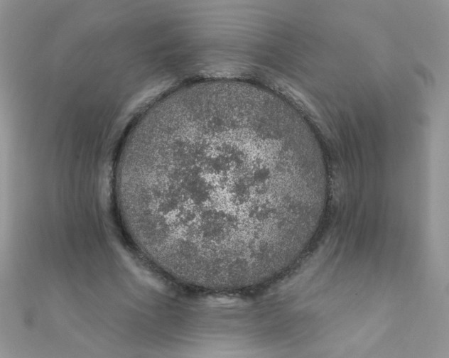 X0000112380586200909031954