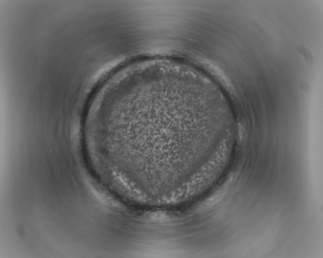 X0000112380588200909031954