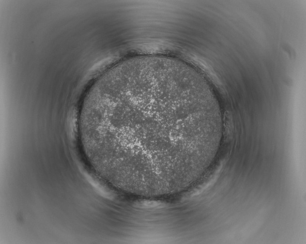 X0000112380590200909031954