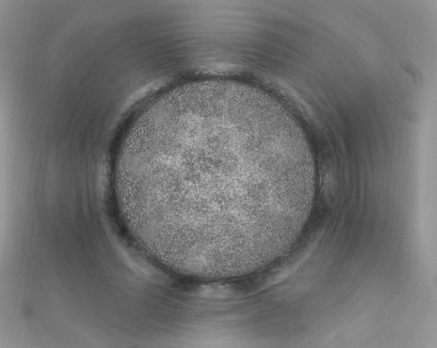 X0000112380591200909031954