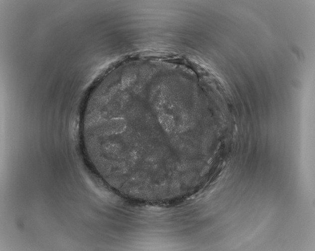 X0000112380592200909031954