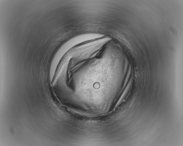 X0000112380593200909031954