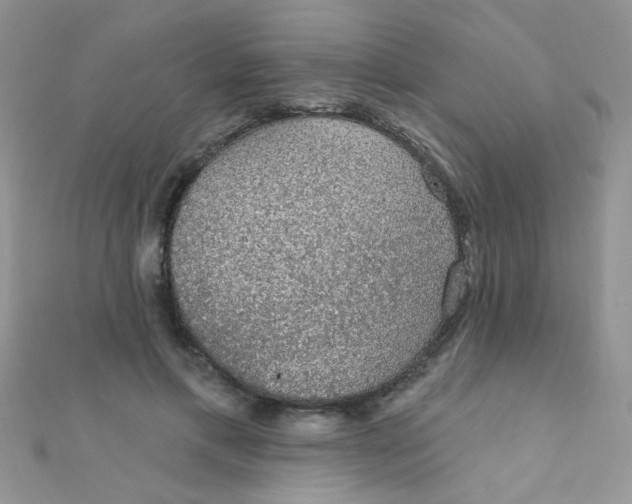 X0000112380597200909031954