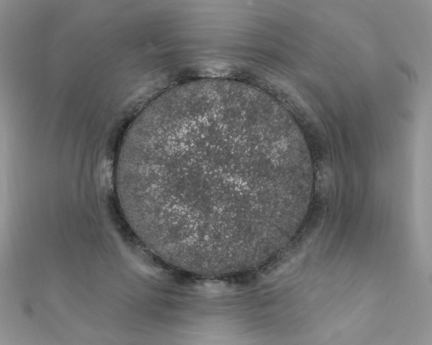 X0000112380598200909031954