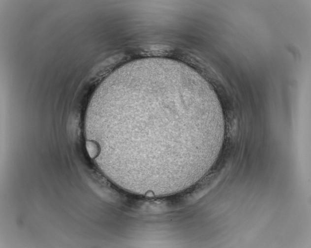 X0000112380599200909031954