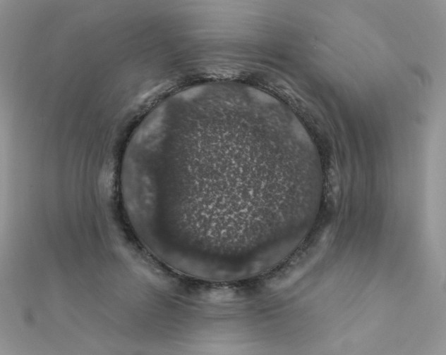 X0000112380600200909031954