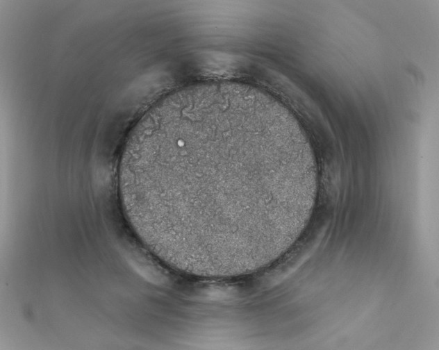 X0000112380601200909031954