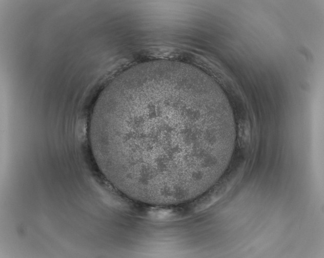 X0000112380602200909031954