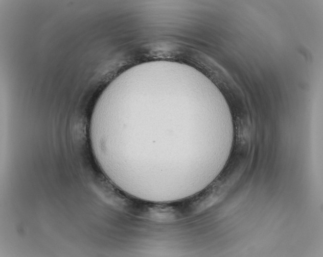 X0000112380603200909031954