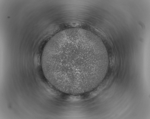 X0000112380606200909031954