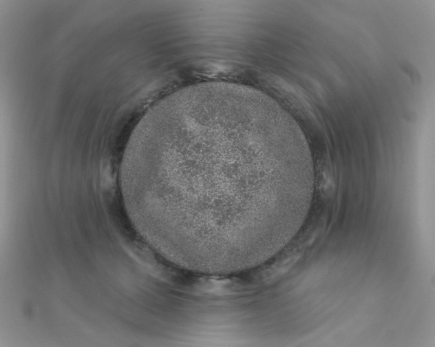 X0000112380607200909031954