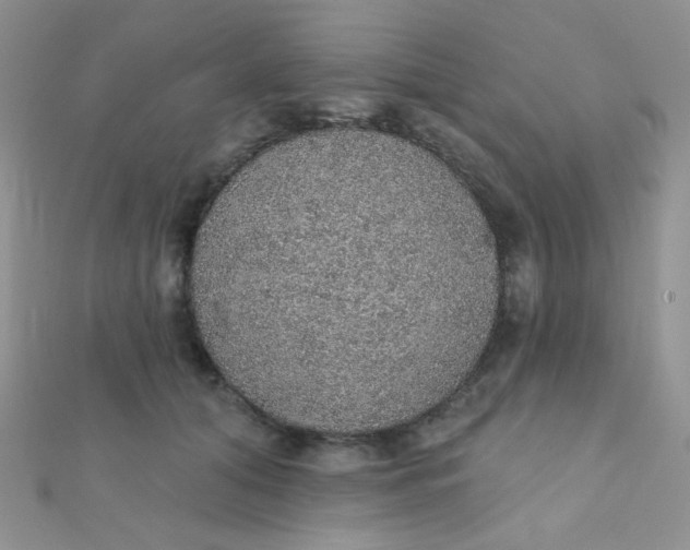 X0000112380608200909031954