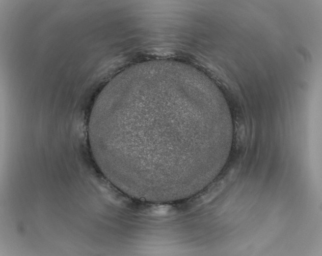 X0000112380609200909031954