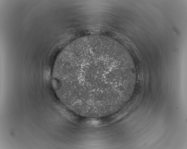 X0000112380610200909031954