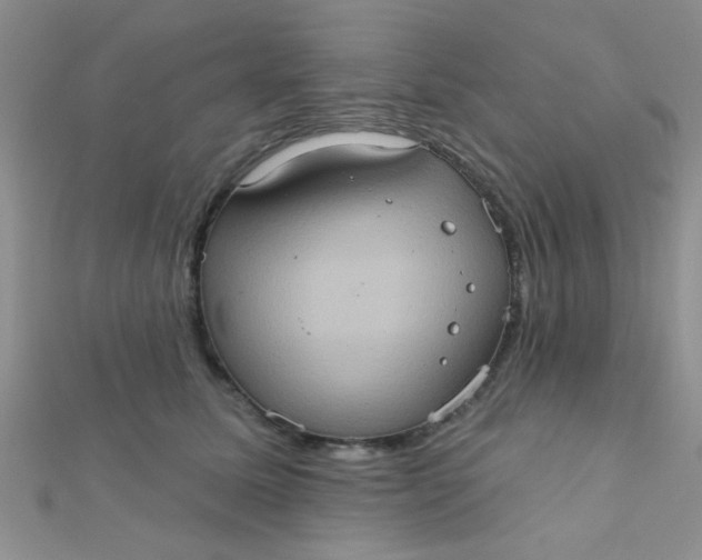 X0000112380611200909031954