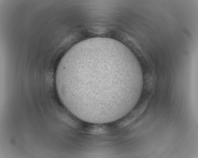 X0000112380612200909031954