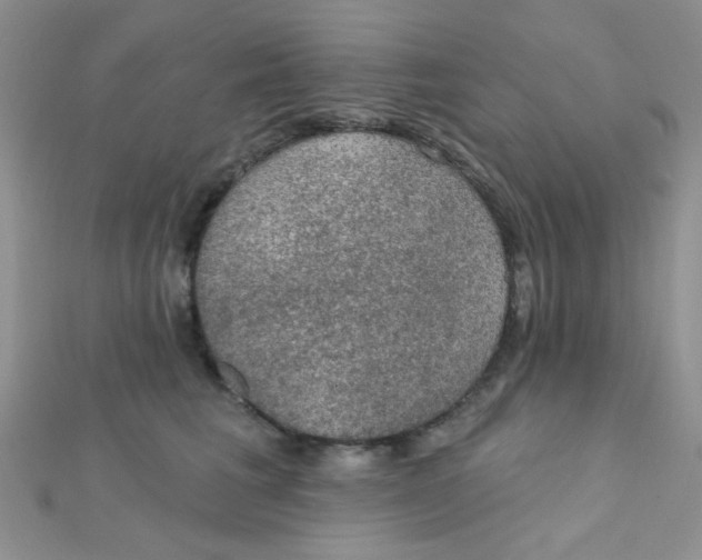 X0000112380613200909031954