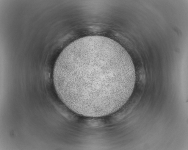 X0000112380615200909031954