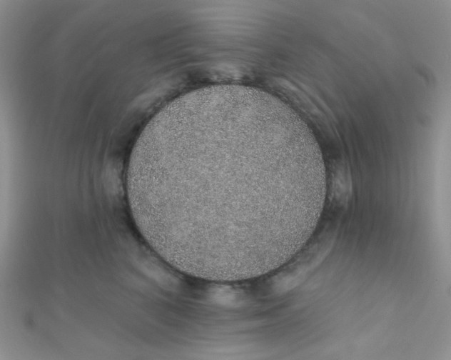 X0000112380616200909031954