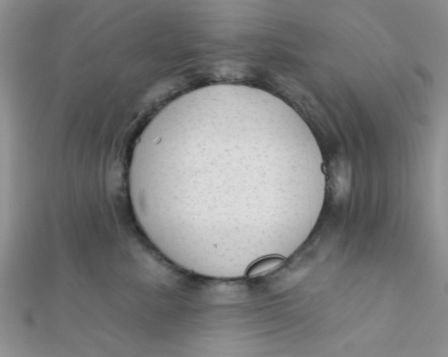 X0000112380619200909031953