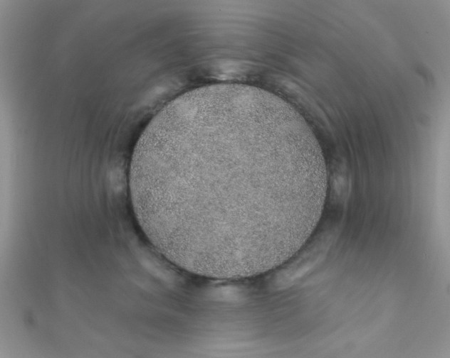 X0000112380620200909031953