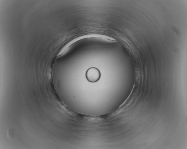 X0000112380621200909031953