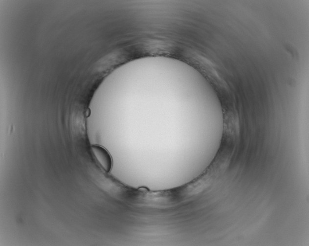 X0000112380622200909031953