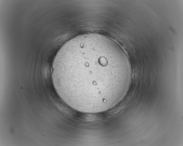 X0000112380623200909031953