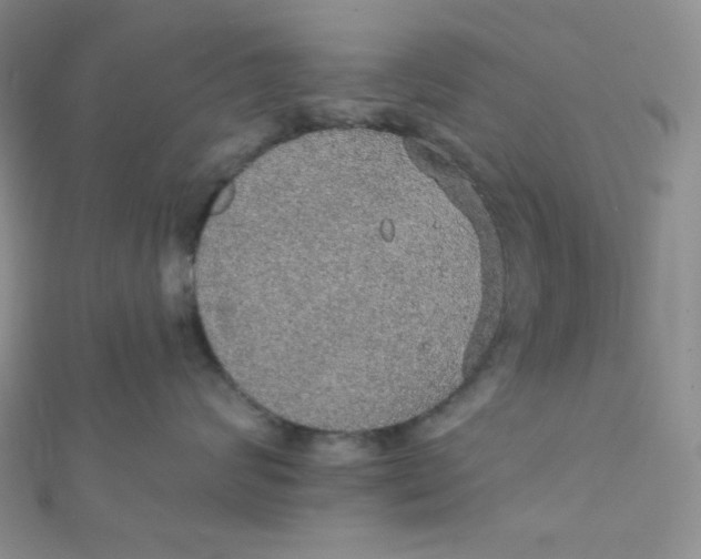 X0000112380624200909031953