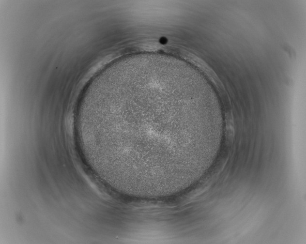 X0000112380626200909031953