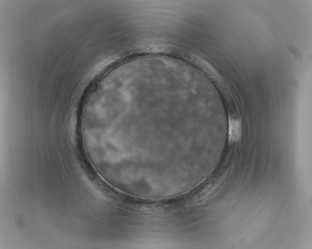 X0000112380627200909031953