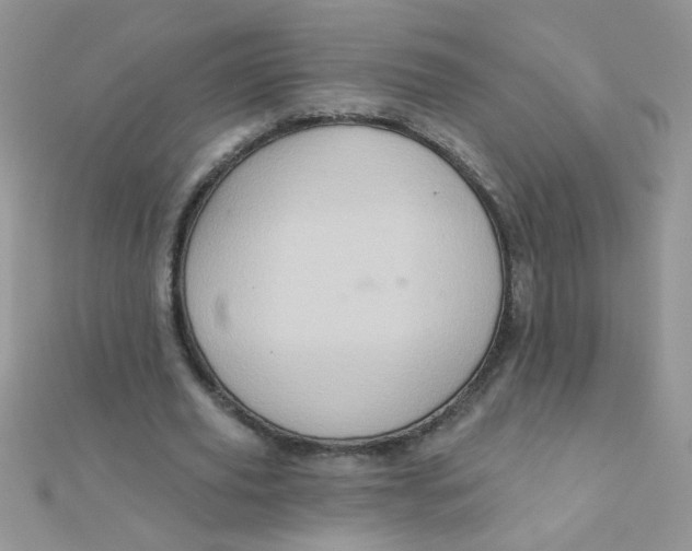 X0000112380629200909031953