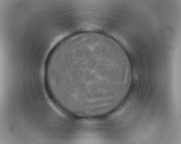 X0000112380630200909031953