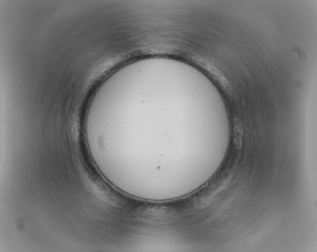 X0000112380631200909031953