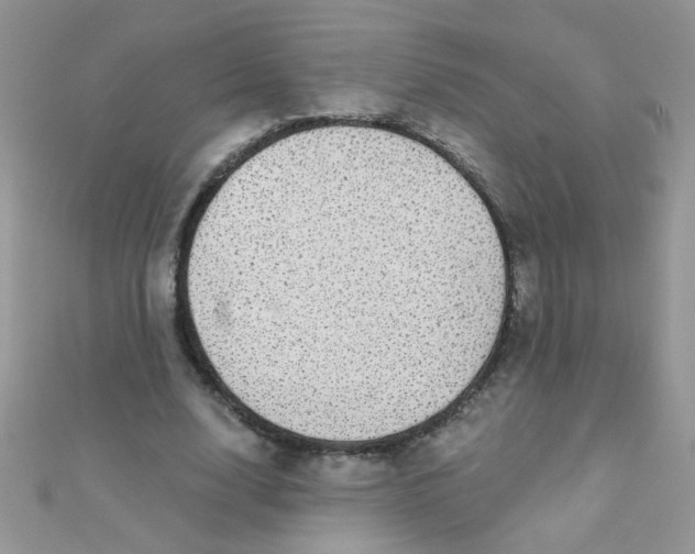 X0000112380632200909031953