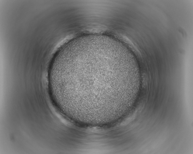 X0000112380634200909031953