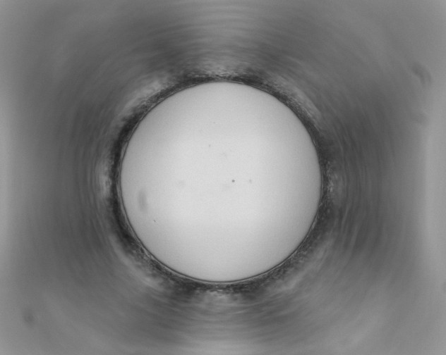 X0000112380635200909031953