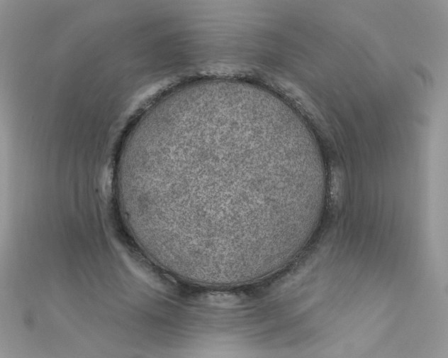 X0000112380636200909031953