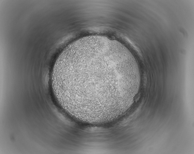 X0000112380637200909031953