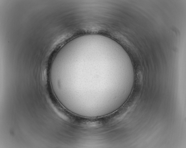 X0000112380638200909031953