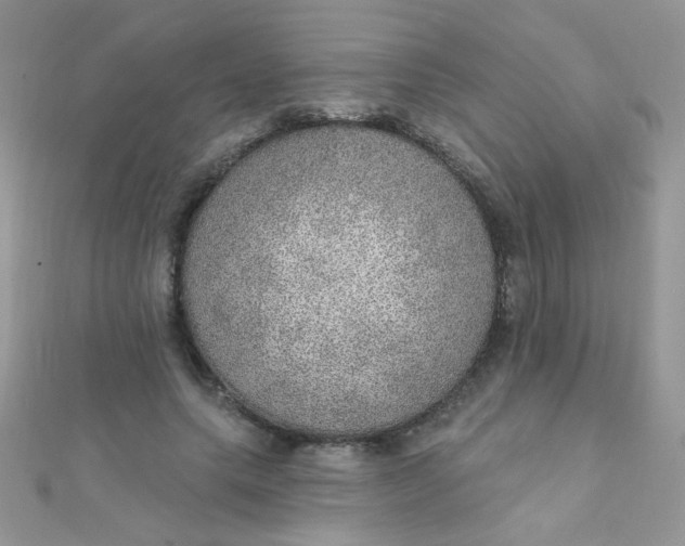 X0000112380639200909031953