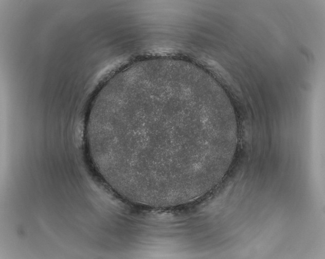 X0000112380640200909031953