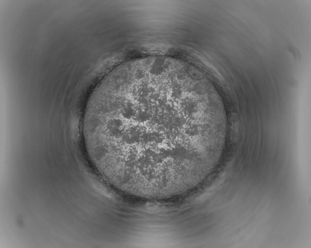 X0000112380641200909031953